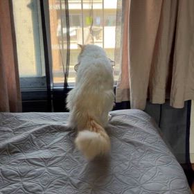 風が気持ちいいー！の画像