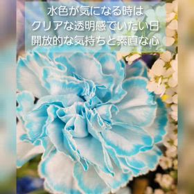 色とこころの画像