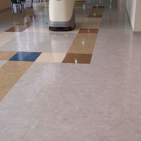 化学療法５６回目の画像