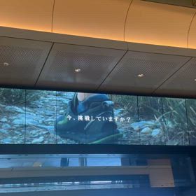 朝の東京駅は輝きが✨の画像