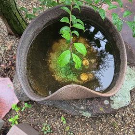 こんにちは。(10月11日)の画像