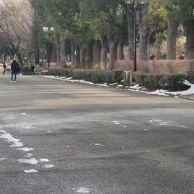 リレー選考会（男子）ゴール付近⑫の画像