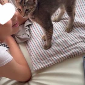 家族大募集中　とっても可愛い　きいちゃんの画像