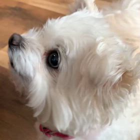 ちょっと遠出の画像