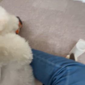 今日のニコ♪動画の画像