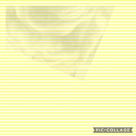 DOGXDOG だいまるくんの画像