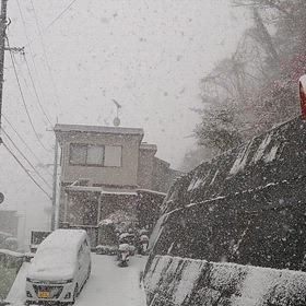 雪が凄い降りだしましたの画像