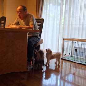 ジャンプ力すごいライルの画像