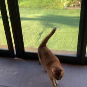 2024/09/07今週のハナの画像