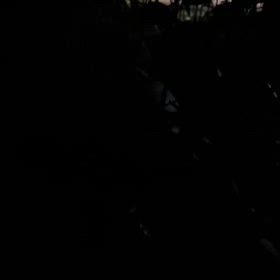 ゴルゴ13 イノシシ対策 動画再生は要注意！の画像