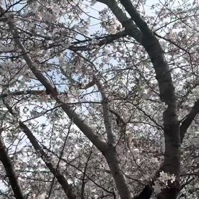 副作用は毎回こんなもんなのか？1-2の画像