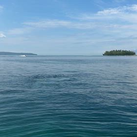 《1月》2026年1回目のフィリピン 5日目の画像