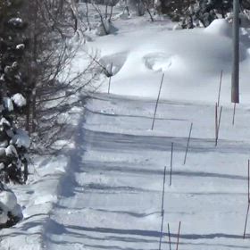 アルペン白馬合宿2月14日までの画像