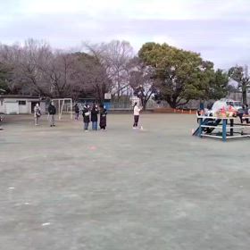 2/17 1000m②の画像