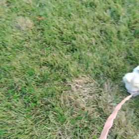 私の血液検査と造影CT検査の画像