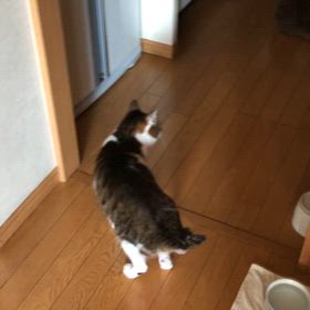 アフラックで、コロナの保険金請求はLINEで、完了！の画像