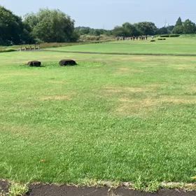 8/24ハイレベル練習②の画像