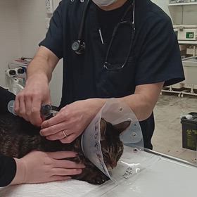 12月23日のあみの画像