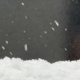 寒波☃️の画像