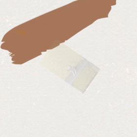 DOGXDOG こうくんの画像