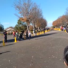 県駅伝　  第２区⑪の画像