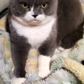 フミフミの画像