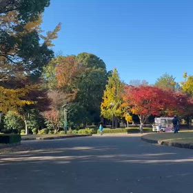 11/22 1500m③の画像