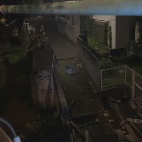 ６／２５（火）トーイック君・・・二階ベランダからアライグマ！？を撮影！！の画像