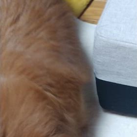 今日のカールちゃんの様子です。の画像