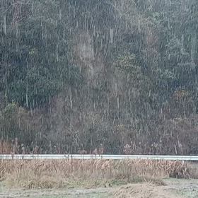 雪ですよの画像