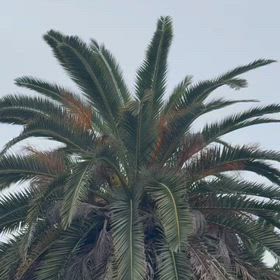 釣りリレーコース！！の画像