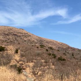 自分をコントロール。の画像