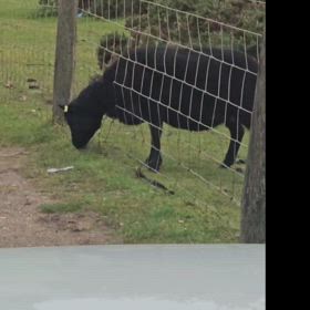 専門家に聞こうの画像