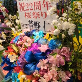 新宿スタジオ向日葵、22周年桜祭り3日目の画像