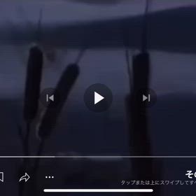 ハープ　Secret_history1/6965の画像