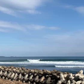 セット頭から頭半　パワー全開の画像