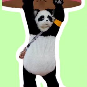 試験投稿の画像