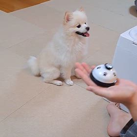 ち〜ん♪の画像