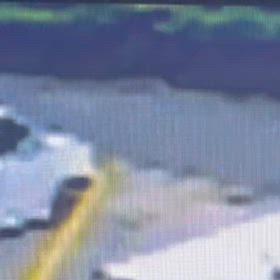 車が来ても気にせず。Σ('◉⌓◉’)の画像