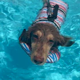 お便りいただきました♪の画像