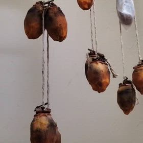 干し柿②の画像