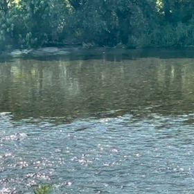 明日から解禁の画像