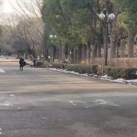 リレー選考会（男子）ゴール付近⑤の画像