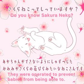 新年ご挨拶にかえての画像