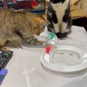 おもちゃ。の画像