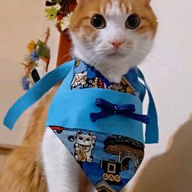 新春の舞の画像