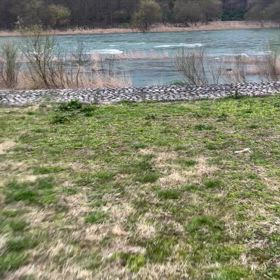 あと何度卒業すればの画像