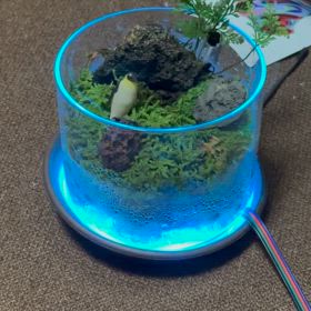 効果ありかな？の画像