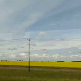 20250722カルガリーへバス移動の画像