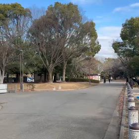 川越練習(越生駅伝選考会)③の画像